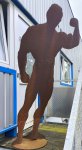 (Bild für) Bodybuilder