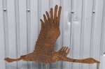 (Bild für) Gans im Flug