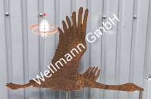 (Bild für) Gans im Flug