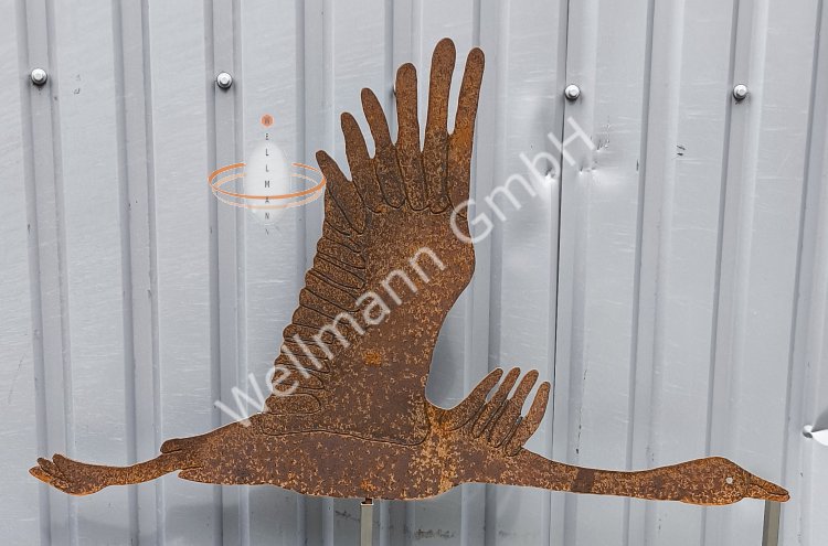 (Bild für) Gans im Flug - zum Schließen ins Bild klicken