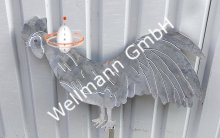 (Bild für) Hahn