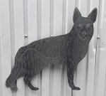(Bild für) Schäferhund