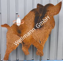 (Bild für) Wildschwein seitlich